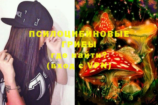 PSILOCYBIN Заволжье