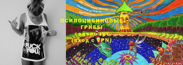 PSILOCYBIN Заволжье