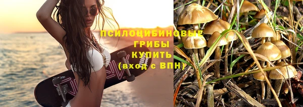 PSILOCYBIN Заволжье