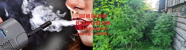 ешки Заводоуковск