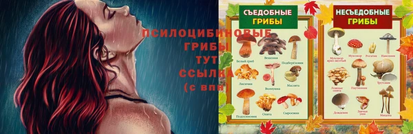 ешки Заводоуковск