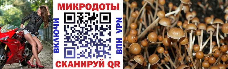 дарнет шоп  Сковородино  Псилоцибиновые грибы мухоморы 